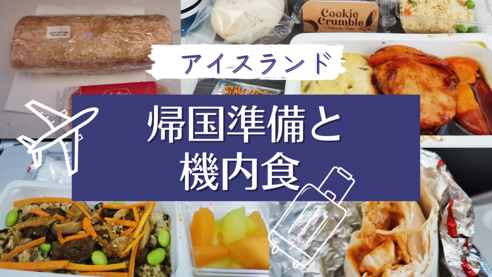 日本への帰国準備と機内食