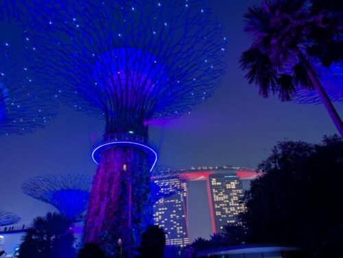 シンガポール ガーデンバイザベイ 夜景